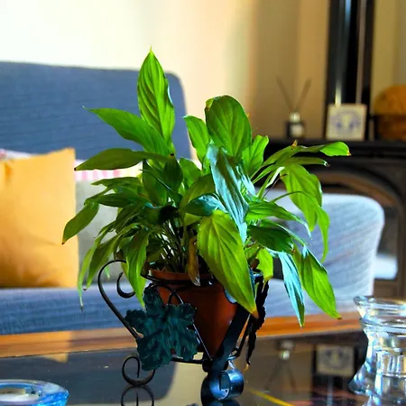 La Majadera El Rosario (Tenerife)